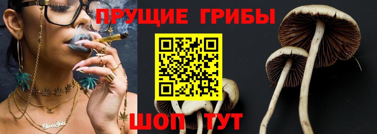 Псилоцибиновые грибы Magic Shrooms  Вход с VPN  Лосино-Петровский  Псилоцибиновые грибы MAGIC MUSHROOMS 